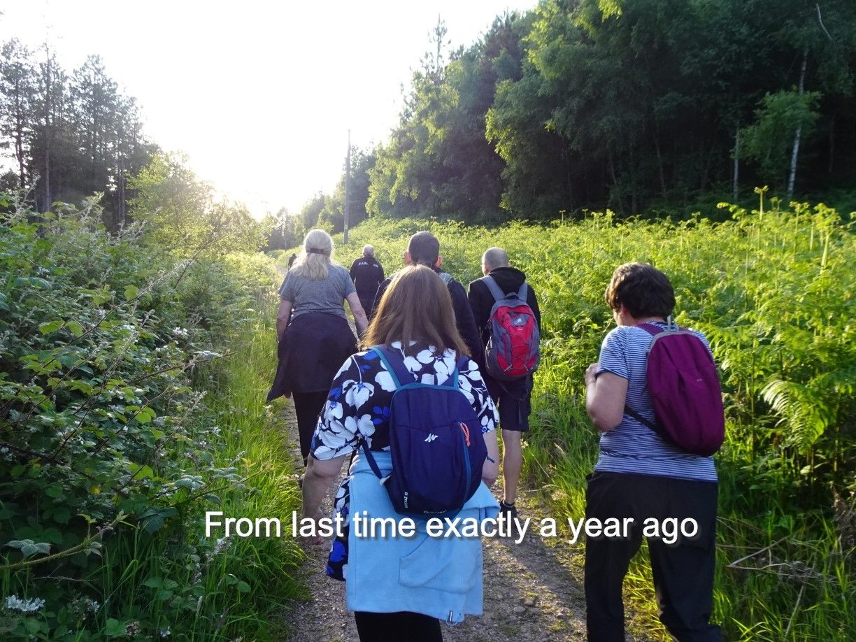 From a similar walk exactly a year ago